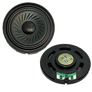 DXP40N-A 0.5W 8 OHM RUICHI