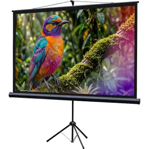 Экран на штативе Lumien Eco View 130x227см (раб.область124х221 см) (100") Matte White 16:9 Lumien