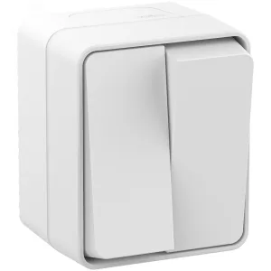 Выключатель 2-кл. ОП AtlasDesign Profi54 IP54 10AX бел. SE ATN540151 Systeme Electric
