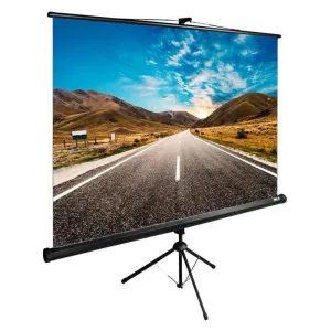 Экран Cactus CS-PSTE-160X160-BK Cactus
