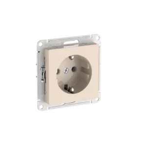 Розетка заземлением Schneider Electric ATN000243S Schneider Electric