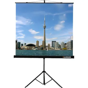 Экран на штативе Lumien LEV-100116 Eco View 120х120см (67") Matte White 1:1 Lumien
