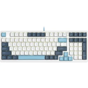Клавиатура проводная A4Tech Fstyler FS300 (FS300 PANDA SNOWBOARDING), USB, белый/синий A4Tech