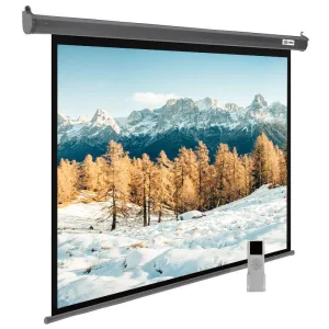 Экран для проектора Cactus SIlverMotoExpert CS-PSSME-300X188-DG, 139 ", 16:10, настенно-потолочный, рулонный, Металлизированное покрытие Cactus