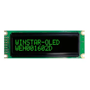 WEH001602DGPP5N00100 WINSTAR
