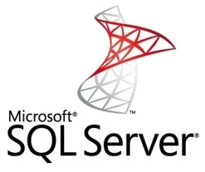 Операционная система лицензия Microsoft SQL Server Standard Edition 2019 English DVD 10 CAL (228-11548) Microsoft