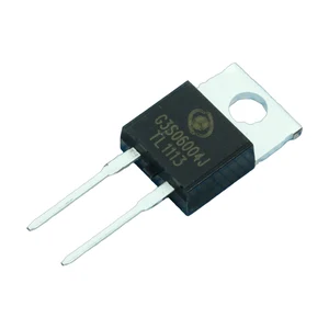 G3S06004J GPT