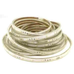 LED-лента 5050 RGB/30 чипов/1м/220V/IP68 Ecola