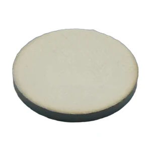 B59060A0160A010 EPCOS