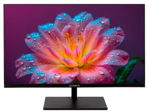 Монитор 23.8" IRBIS MIR View24 IPS 1920x1080, 100 Гц, 5 мс, 16:9, 300 кд/м², VGA, HDMI 2.0, DP 1.2, 3.5 Jack, динамики (2 Вт), HDR10, черный, в реестре Минпромторга Irbis