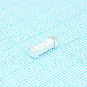 0461002.ER Littelfuse