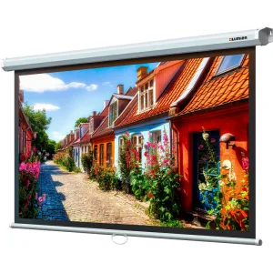 Настенный экран Lumien Eco Picture 142х200см (рабочая область 109х194 см) Matte White восьмигранный корпус, возможность потолочн./настенного крепления, уровень в комплекте, 16:9 (треугольная упаковка) Lumien
