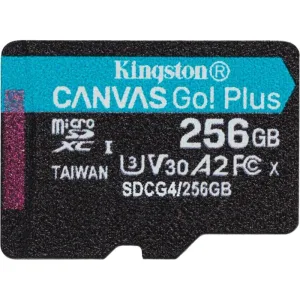 Флеш карта microSDXC 256Gb Kingston SDCG4/256GbSP Canvas Go! Plus V10 A2 w/o adapter Kingston