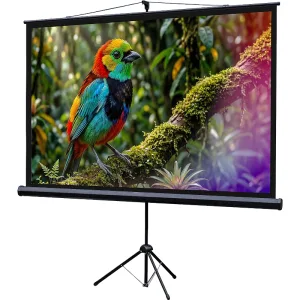 Экран на штативе Lumien Eco View 115x200см (раб.область109х194 см) (88") Matte White 16:9 Lumien