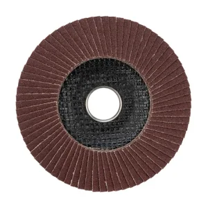 Круг лепестковый торцевой P 100, 125х22,2 мм KR-90-0016 Kranz