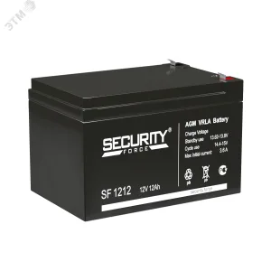 Аккумулятор SF 12В 12Ач 4614030010001 Security Force