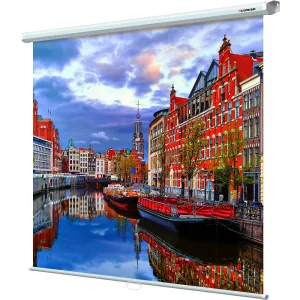 Настенный экран LEP-100102 Lumien Eco Picture 180х180 см Matte White, восьмигранный корпус, возм. потолочн-настенного крепления (ТРЕУГОЛЬНАЯ уп) Lumien