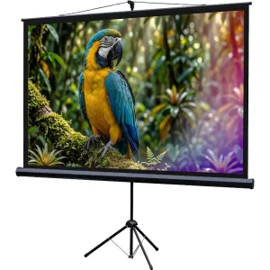Экран на штативе Lumien Eco View 110x192см (раб.область104х186 см) (84") Matte White 16:9 Lumien