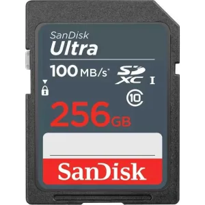 Флеш карта SDXC 256Gb UHS-I SDSDUNR-256G-GN3IN SANDISK SanDisk