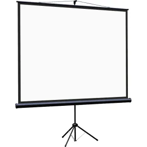 Экран на штативе Lumien Eco View 183x244см (раб.область175х236 см) Matte White с возможностью настенного крепления 4:3 Lumien